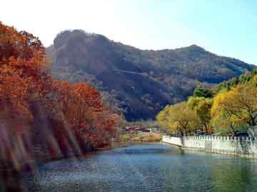 澳门二四六天天彩图库，抽水控制器